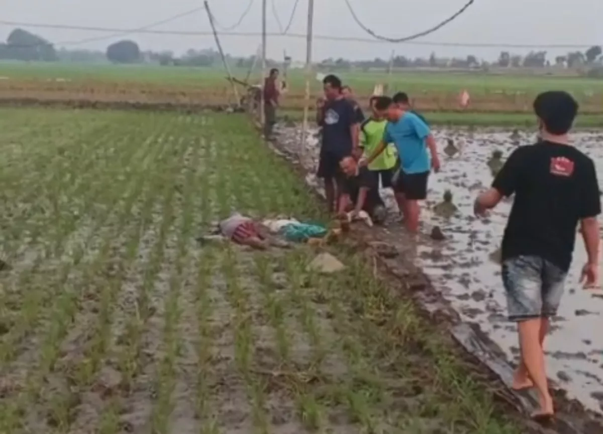 Ibu dan Anak di Kasiman Bojonegoro Tewas Tersengat Jebakan Tikus di Sawah